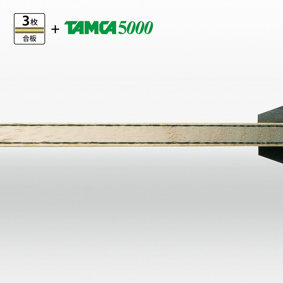 バタフライ(Butterfly) 卓球 ラケット SKカーボン 36891