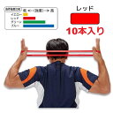 サイバー ゴムバンド チューブ 10本入りトーンループ （レッド） MEDIUM エクササイズ トレーニング CIBER Dメディカル　【動画参照】