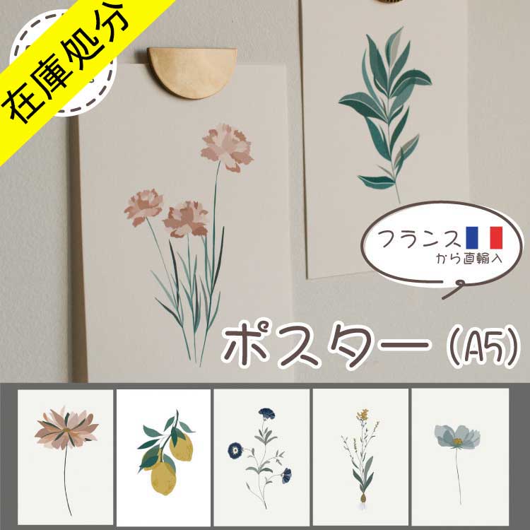 【在庫処分 SALE】 フランス産 ポスター タペストリー A5 サイズ 5タイプ 花 フランス おしゃれ かわいい 壁紙 お部屋 ウォール アート diy ヴィンテージ アンティーク 北欧 韓国 トイレ 寝室 …