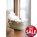 【在庫処分 SALE】 かご型プランターS フラワーポット プランター ガーデニング デコレーション 雑貨 鉢植え ナチュラル プランターカバー インテリア 海...