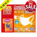 【LINE700円オフ】【在庫処分 SALE】メール便で送料無料NHKで紹介! 発熱素材使用 洗えるマスク3枚入り ウイルス対策 ウイルス予防 立体マスク 3D...