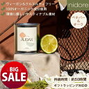 【20%OFF】【21日まで サマーSALE】アロマキャンドル ベチバー x オーク ヴィーガン クルエルティフリー オーガニック ハンドメイド サステナブル 50時間持続 220g アロマ キャンドル 香り 男性 樹脂 おしゃれ ヨーロッパ ギフト プレゼント nidore