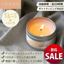 【20%OFF】【21日まで サマーSALE】アロマキャンドル グレープフルーツ x バニラ ヴィーガン クルエルティフリー オーガニック サステナブル 20時...