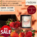 【20%OFF】【21日まで サマーSALE】アロマキャンドル ストロベリー x ルバーブ ヴィーガン クルエルティフリー オーガニック サステナブル 50時間...