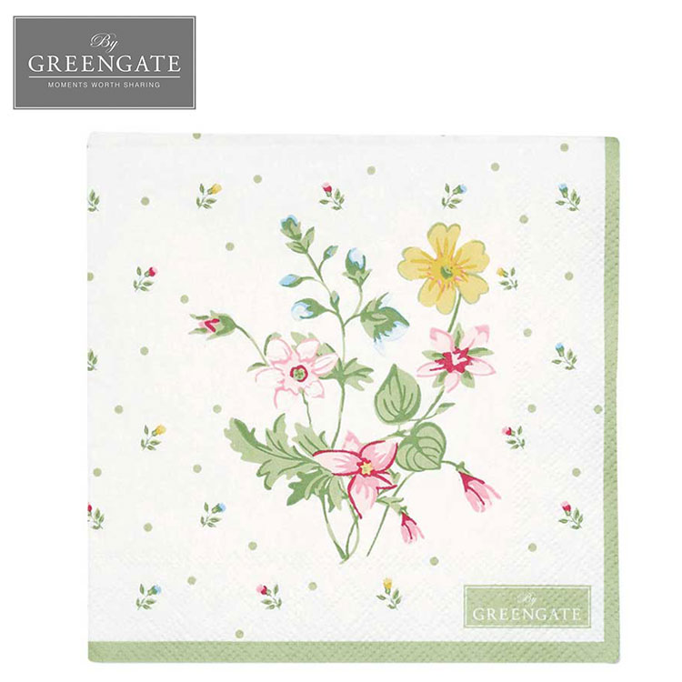 ڡѡʥץ ߥ ʥץ ʥץ 꿡  ­ ơ֥   ꡼ ̲ 襤  ڹ  ץ쥼 ե  ñۤˤ     ꡼󥲡 GreenGate Fiola