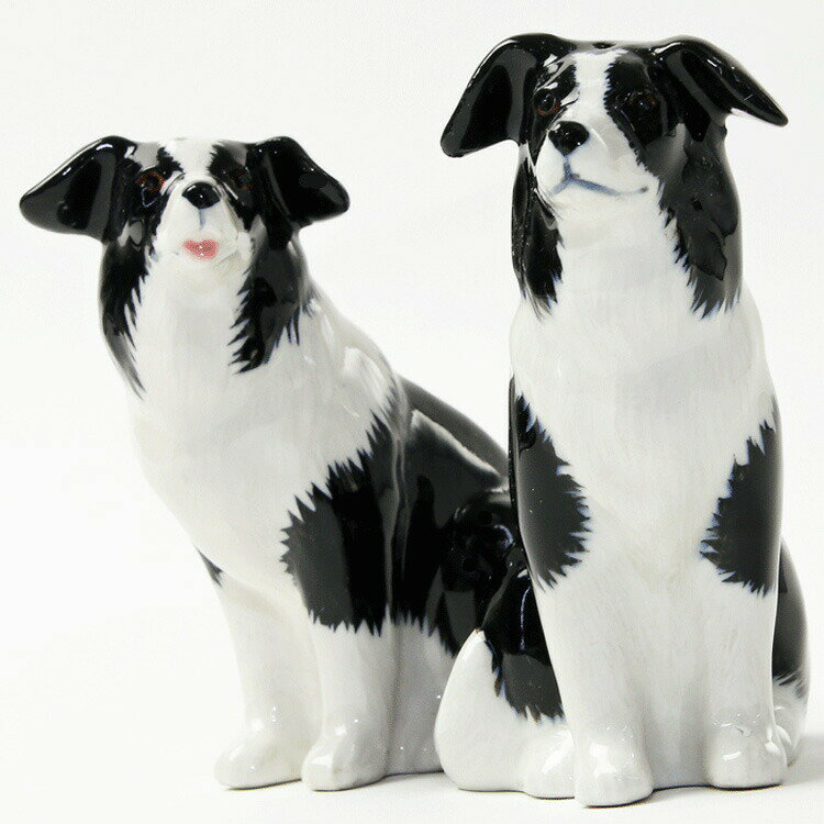 Border Collie S&P {[_[R[̃\gybp[Zbg   ybg CMX Quail Ceramics  u IuWF CeA k _  D{[_[R[