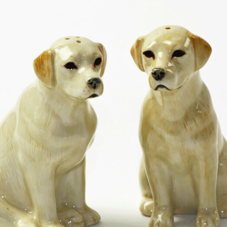 Labrador ֥ɡ Gold  ǥ 祦 ꥹ Quail Ceramics ưʪ ʪ ֥ ƥꥢ ̲  ƫ   ֥ɡȥ꡼С ܥ Ĵ̣ å󥤥ƥꥢ