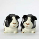 Guinea pig black and white S&P \gybp[Zbg RVE CMX Quail Ceramics u IuWF CeA k _  [bp yA bg mg[   ˂ kG G
