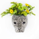 【21日まで サマーSALE】SealWallVase アザラシ 壁掛け ウォールベース おしゃれ 可愛い 動物 花束 ドライフラワー 一輪挿し 一輪 小物入れ 歯ブラシ入れ 収納 オブジェ アニマル 動物 インテリア 陶器 花瓶 海外雑貨 QuailCeramics