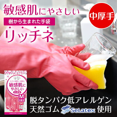 ダンロップの掃除 ロングタイプ 10P26Mar16
