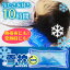雪枕 長時間 冷たさ、クールに10時間★(商品番号:4104)★【ダンロップの保冷枕・アイスまくら・氷枕】