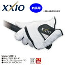 【ダンロップ】XXIO（ゼクシオ）グローブ 右手（左利き）用 GGG-X012R【レフティ】【お買い得商品】