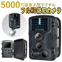 【楽天1位＋最大10倍P】送料無料！防犯カメラ 屋外 ワイヤ