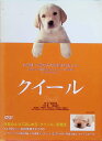 【中古】 クイール (DVD2枚組) 小林薫 (出演), 椎名桔平 (出演), 崔洋一 (監督) (送料無料)