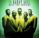 【中古】 CD HAVE FUN TONIGHT / 14カラット・ソウル (送料無料)