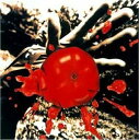 【中古】 CD 孤独の太陽 / 桑田佳祐 (送料無料)