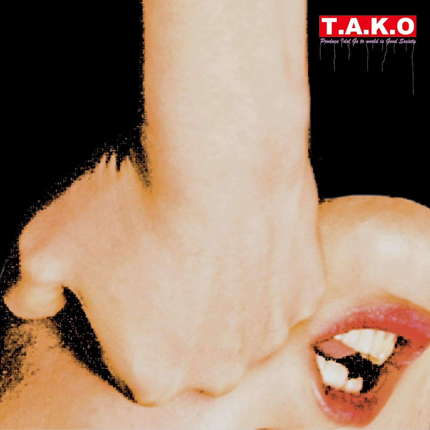 【中古】 (CD) T.A.K.O / PIGGS （送料無料）