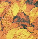 【中古】 CD DEAD LEAVES SHOWER / wyse (送料無料)