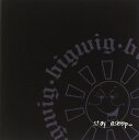 【中古】 CD Stay Asleep(輸入盤) / Bigwig (送料無料)