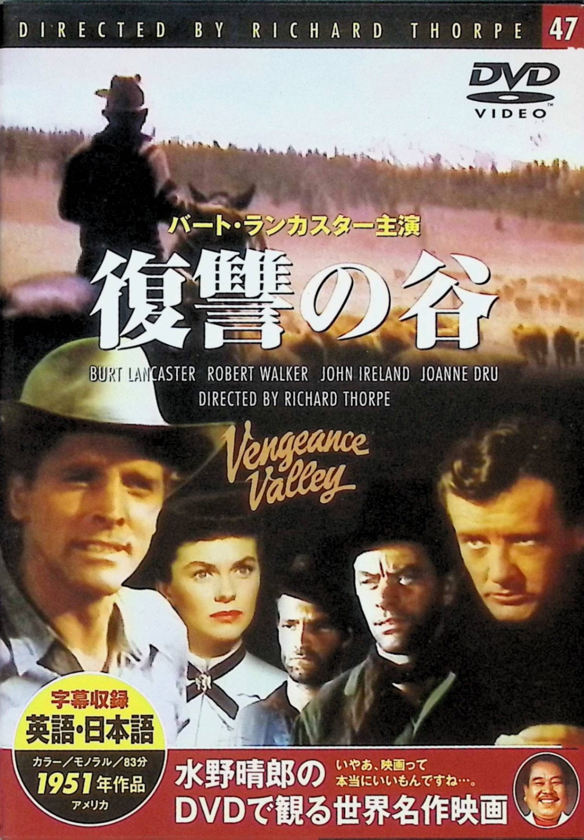 【中古】 復讐の谷 [DVD]　バート・ランカスター ロバート・ウォーカー　監督：リチャード・ソープ　（..