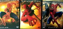 【中古】 スパイダーマン 3作品セット DVD トビー・マグワイア (出演), サム・ライミ (監督), ウィレム・デフォー (出演)