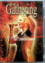 【中古】 In Motion (海外版DVD) LIVE at Dynamo Open Air (送料無料)