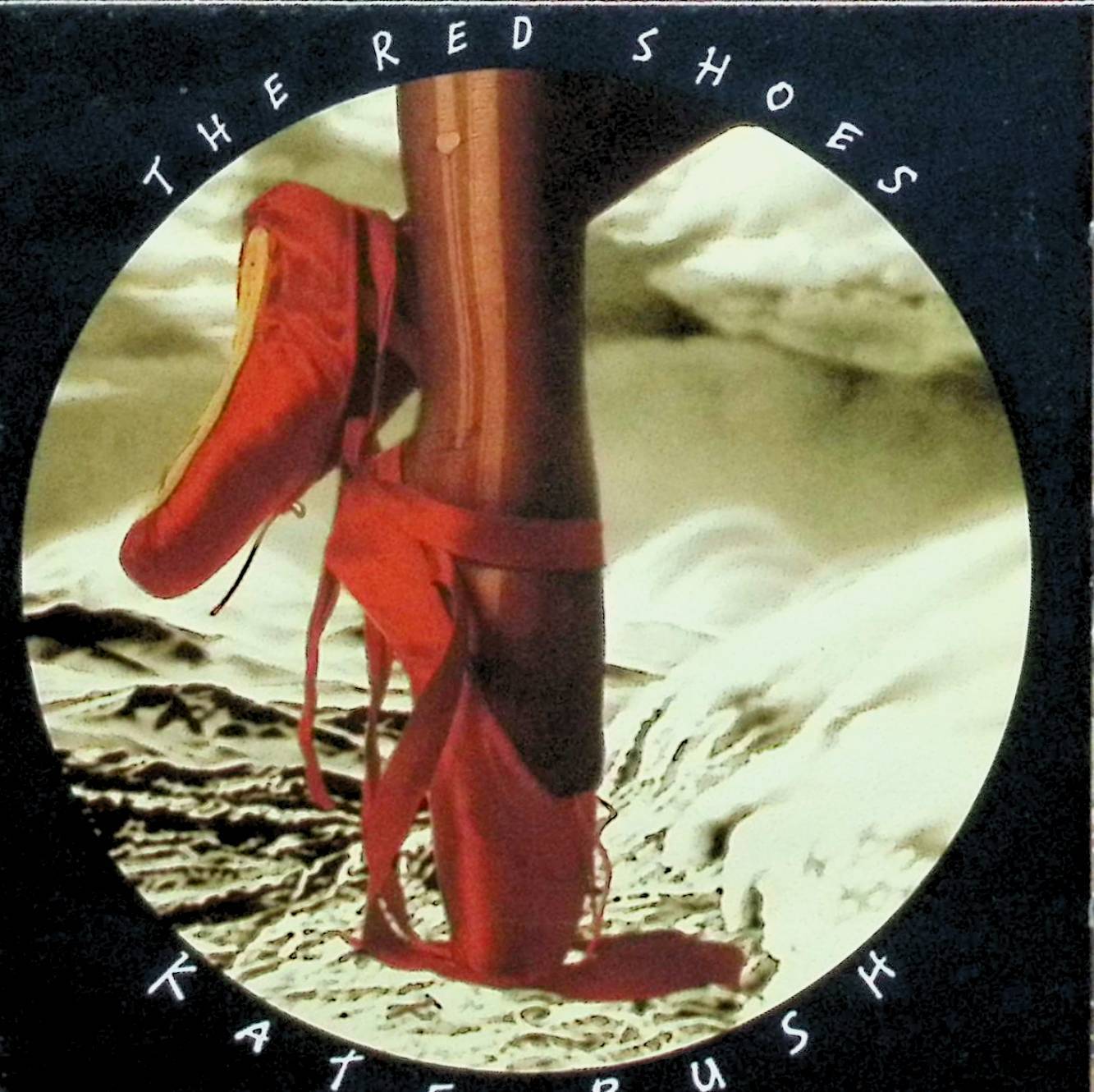 【中古】 (CD) The Red Shoes / ケイト・ブッシュ　（送料無料）