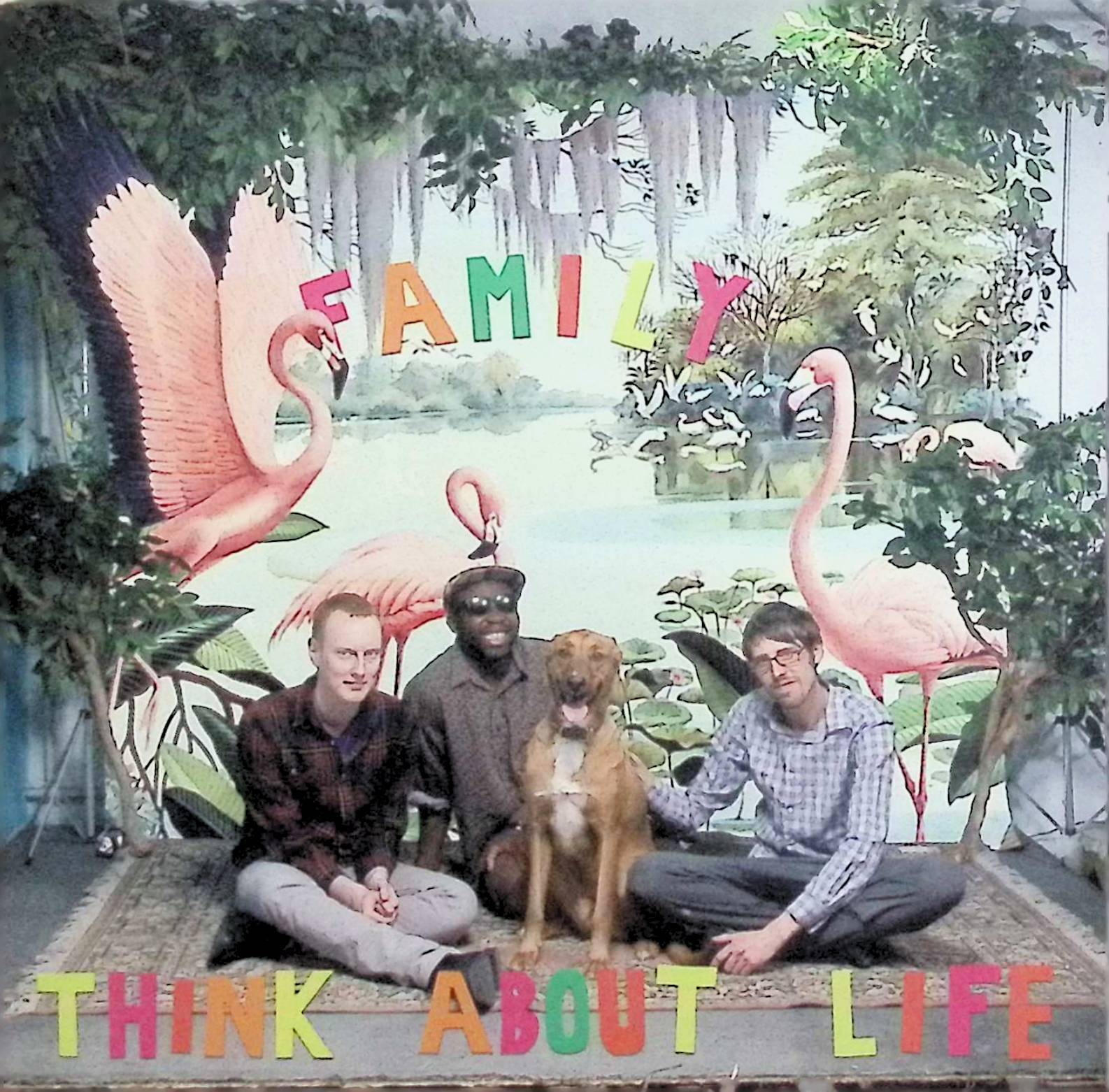 š (CD) եߥ꡼ʻ楱 / 󥯡Хȡ饤ա̵