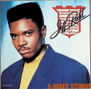 【中古】 (CD) Quiet Storm / Jeff Redd ジェフ・レッド (送料無料)