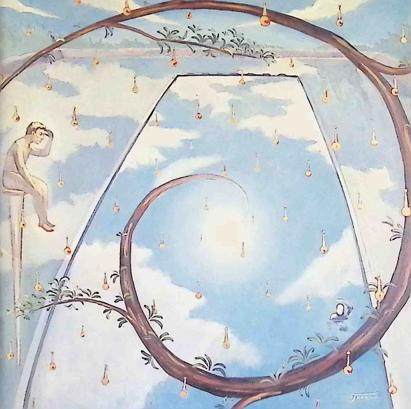 楽天市場】ナポレオンフィッシュと泳ぐ日の通販