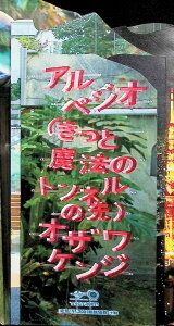 【中古】 (CD) アルペジオ(きっと魔法のトンネルの先)(完全生産限定盤) / 小沢健二 (送料無料)