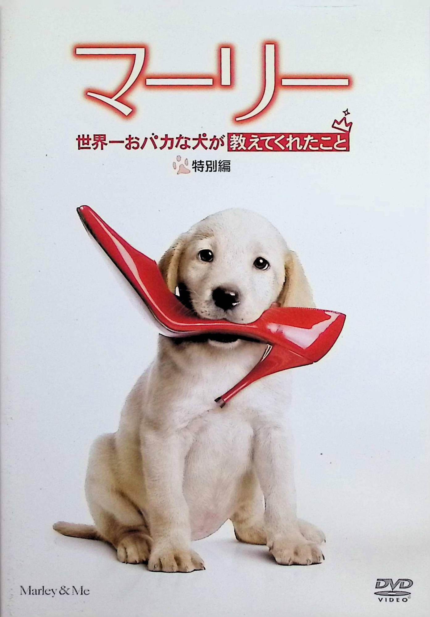 「 マーリー 世界一おバカな犬が教えてくれたこと (特別編) [DVD]」 オーウェン・ウィルソン (出演), ジェニファー・アニストン (出演), デイビッド・フランケル (監督) 新婚のジョンとジェニーが子育てに自信をつけるため犬を飼うことにする。やってきたのはラブラドール・レトリバーのマーリー。とろこが、マーリーは愛らしい外見とは裏腹に、驚くほどやんちゃでおバカだった……！ ジョン・グローガンの同名ベストセラー・エッセイを映画化。賢いといわれるラブラドール・レトリバーなのに、無邪気でおバカなマーリー。そんな彼に振り回される新婚カップルを、オーウェン・ウィルソンとジェニファー・アニストンが好演。絆を育んでいく彼らの姿を通して家族愛を描く、おかしくて最後にはホロリとさせられるハートフル・コメディ。 音声： 日本語・英語 字幕： 日本語・英語 JANコード： 4988142790828 🐾 安心の検品・保証 当店ではすべての商品を1点ずつ丁寧に検品したうえで出品しております。 万が一、商品に不備がございましたら、商品到着日から30日以内であれば返品・返金を承ります。どうぞ安心してご利用ください。 🐾 送料無料・スピード発送 AM11時までのご注文は、日本郵便〈ゆうメール〉にて当日発送いたします。 ※ゆうメールは土日祝日の配達がございません。あらかじめご了承ください。 商品は防水クッション封筒で丁寧に梱包し、ポストへお届けします。 🐾 まとめ買いがおトク！クーポン配布中 2点以上のご購入　→　100円引き 4点以上のご購入　→　400円引き 8点以上のご購入　→　1,000円引きDISC PLUSは映画・音楽好きのための専門中古ショップです。 レア盤、絶版アイテム、懐かしの名作など、毎日新商品入荷中！ 🐾 まとめ買いでおトクなクーポン配布中🐾