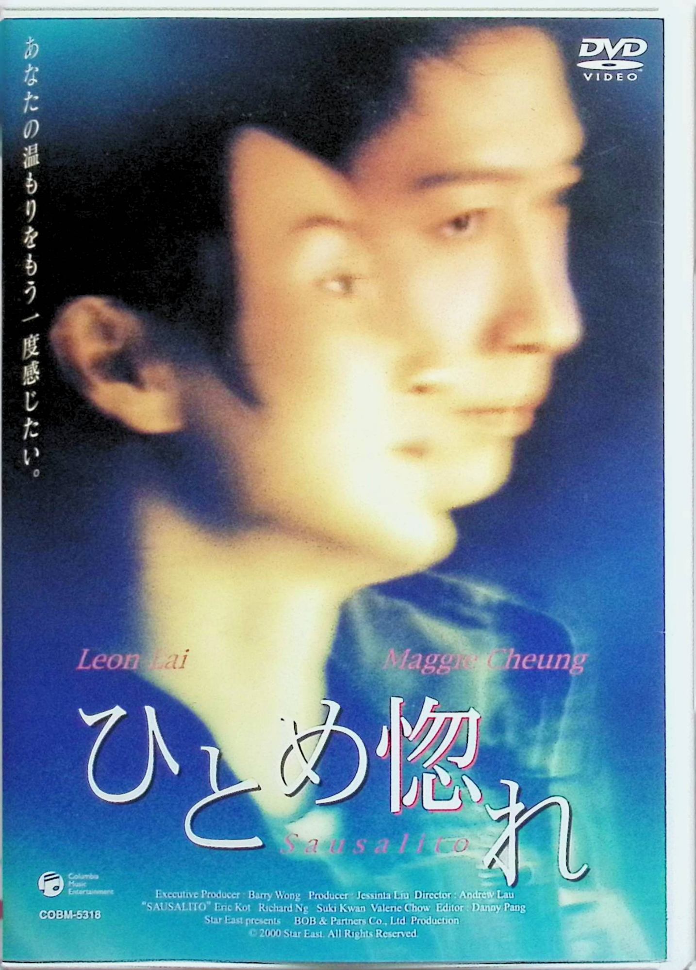 【中古】 ひとめ惚れ [DVD]　マギー・チャン、レオン・ライ、エリック・コット 監督 アンドリュー・ラウ　（送料無料）