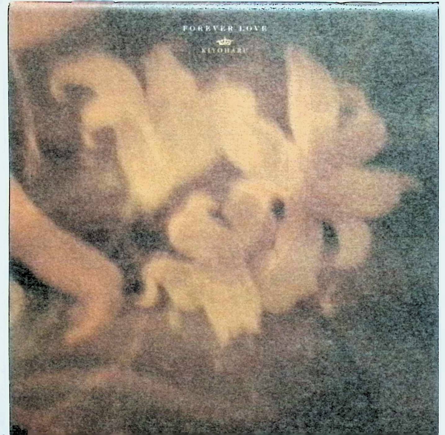 楽天市場】forever love 清春の通販