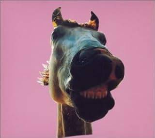 【中古】 (CD) Do!! The★MUSTANG（デジパック仕様） / THE HIGH-LOWS （送料無料）