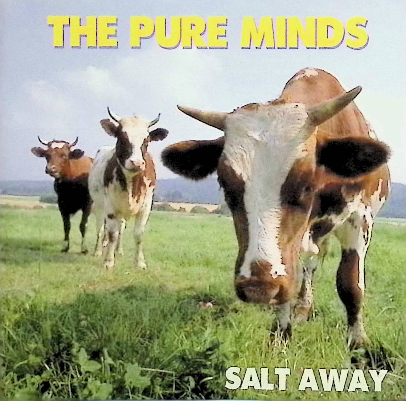  (CD) SALT AWAY / THE PURE MINDS （送料無料）