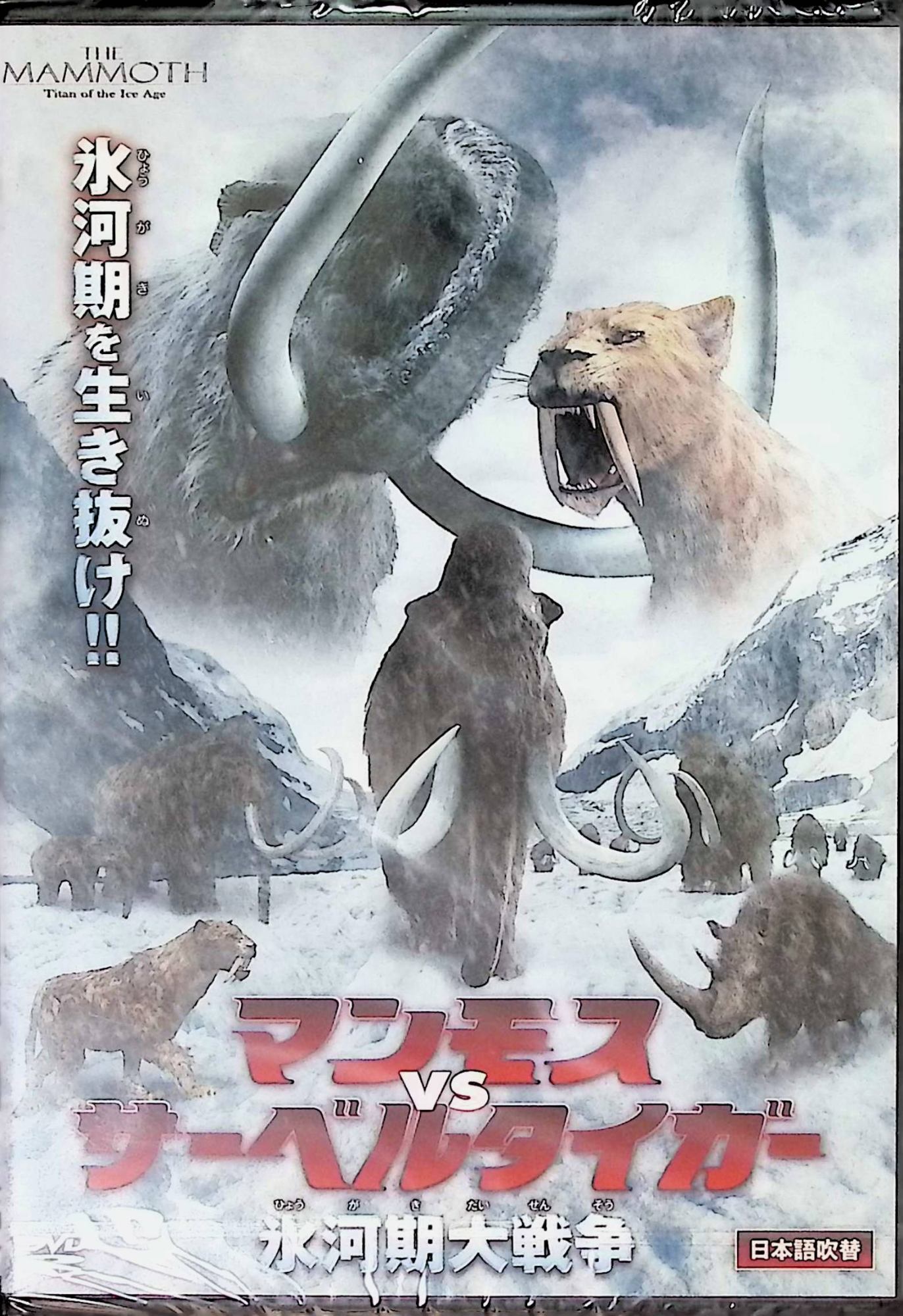 「 マンモスvsサーベルタイガー 氷河期大戦争 LBXC-707 [DVD]」 監督キム・シジョン 内容解説 氷河期の地球。誕生直後にサーベルタイガーに襲われ、後脚に障害を負った子マンモスのマンムーが主人公。南への旅に出たマンモスの家族が、サーベルタイガーやホラアナライオン、ケブカサイ、原始人類などの脅威に直面しながら、家族の絆で厳しい氷河期を生き抜く姿をフルCGで描く。2010年韓国製作。本編80分。 ジャンル CGアニメーション／アドベンチャー／動物 受賞・評価 韓国教育放送EBS製作のCG作品。「大恐竜時代 タルボサウルスvsティラノサウルス」に連なる同局のCG動物ドラマ路線の一作。 音声： 日本語 字幕： JAN： 4961523916079 ◇新品未開封 🐾 安心の検品・保証 当店ではすべての商品を1点ずつ丁寧に検品したうえで出品しております。 万が一、商品に不備がございましたら、商品到着日から30日以内であれば返品・返金を承ります。どうぞ安心してご利用ください。 🐾 送料無料・スピード発送 AM11時までのご注文は、日本郵便〈ゆうメール〉にて当日発送いたします。 ※ゆうメールは土日祝日の配達がございません。あらかじめご了承ください。 商品は防水クッション封筒で丁寧に梱包し、ポストへお届けします。 🐾 まとめ買いがおトク！クーポン配布中 2点以上のご購入　→　100円引き 4点以上のご購入　→　400円引き 8点以上のご購入　→　1,000円引きDISC PLUSは映画・音楽好きのための専門中古ショップです。 レア盤、絶版アイテム、懐かしの名作など、毎日新商品入荷中！ 🐾 まとめ買いでおトクなクーポン配布中 🐾