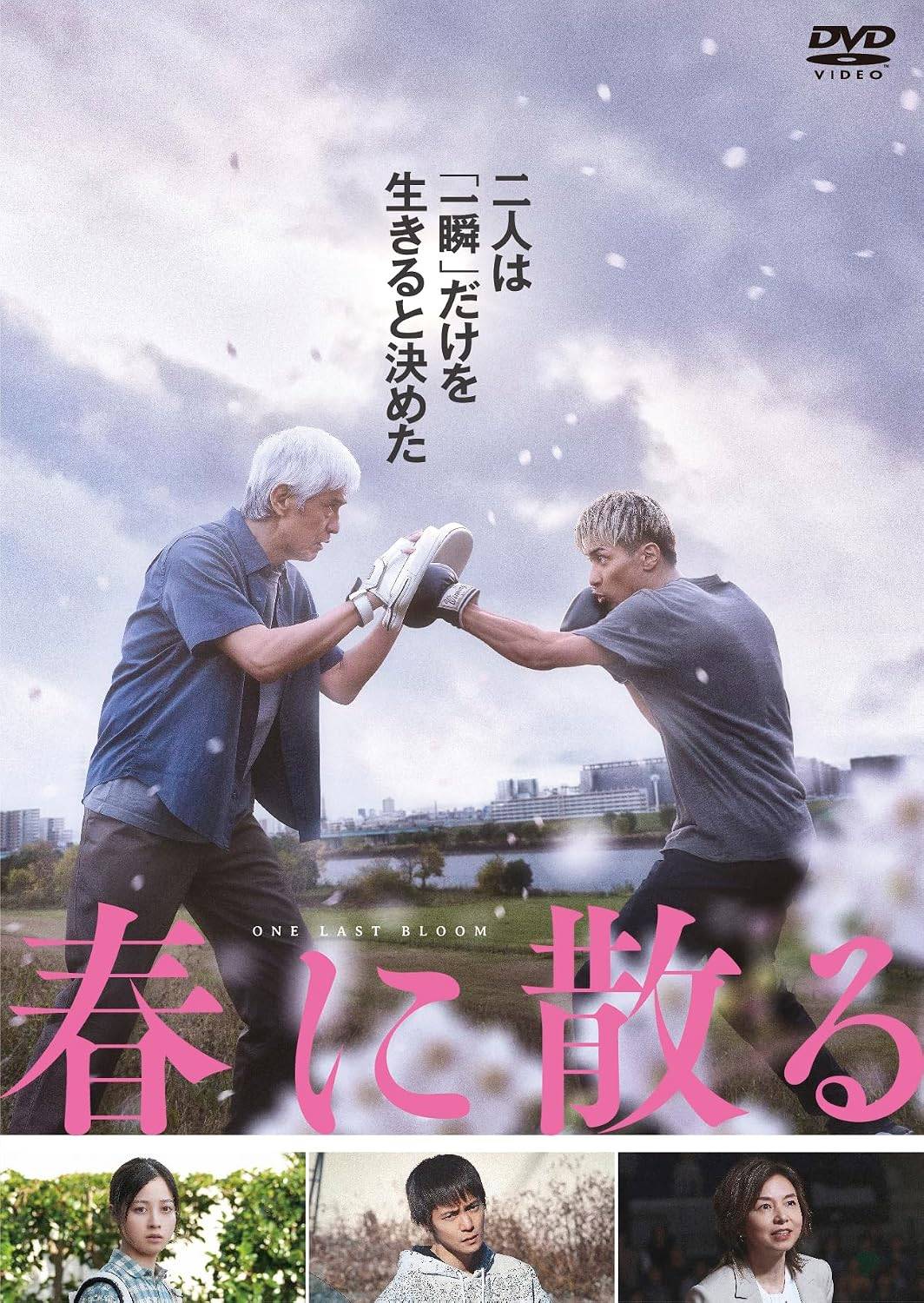 「 春に散る DVDスタンダード・エディション」 佐藤浩市、横浜流星、橋本環奈、監督瀬々敬久 内容解説 2023年日本映画。沢木耕太郎の同名小説を映画化。不公平な判定で敗れてアメリカへ渡った元ボクサーの広岡仁一が、40年ぶりに帰国する。同じく不公平な判定で夢を諦めかけていた若きボクサー・黒木翔吾と出会い、仁一に初めてダウンを奪われた翔吾は、ボクシングを教えてほしいと懇願する。二人は世界チャンピオンを目指して共に歩み始める。 ジャンル ドラマ／スポーツ／ボクシング 受賞・評価 佐藤浩市と横浜流星のダブル主演。坂東龍汰、窪田正孝、山口智子らが共演。脚本は瀬々敬久・星航。原作は晩年の高倉健を主人公にした映画のシノプシスが骨格になったとされる。 JANコード： 4589921417167 🐾 安心の検品・保証 当店ではすべての商品を1点ずつ丁寧に検品したうえで出品しております。 万が一、商品に不備がございましたら、商品到着日から30日以内であれば返品・返金を承ります。どうぞ安心してご利用ください。 🐾 送料無料・スピード発送 AM11時までのご注文は、日本郵便〈ゆうメール〉にて当日発送いたします。 ※ゆうメールは土日祝日の配達がございません。あらかじめご了承ください。 商品は防水クッション封筒で丁寧に梱包し、ポストへお届けします。 🐾 まとめ買いがおトク！クーポン配布中 2点以上のご購入　→　100円引き 4点以上のご購入　→　400円引き 8点以上のご購入　→　1,000円引きDISC PLUSは映画・音楽好きのための専門中古ショップです。 レア盤、絶版アイテム、懐かしの名作など、毎日新商品入荷中！ 🐾 まとめ買いでおトクなクーポン配布中 🐾