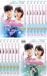 全巻セット【送料無料】【中古】DVD▼あなたが眠っている間に(14枚セット)第1話～第24話 最終【字幕】▽レンタル落ち