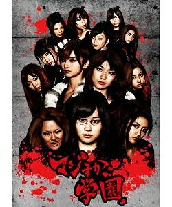 ◆送料無料◆2010年5月28日発売【新品DVD 27％OFF】AKB48 マジすか学園 DVD-BOX(5枚組) 【DVD・邦画TVドラマ】