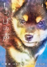 【SALE】中古 Comicしっぽの声 1 レンタル落ち