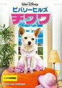 【SALE】【中古】DVD▼ビバリーヒルズ チワワ レンタル落ち