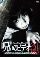 【中古】DVD▼【訳あり】ほんとにあった!呪いのビデオ 41 ※ディスクのみ レンタル落ち
