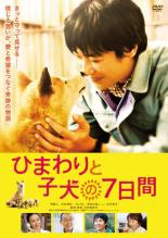 【中古】DVD▼【訳あり】ひまわりと子犬の7日間 ※ディスクのみ レンタル落ち