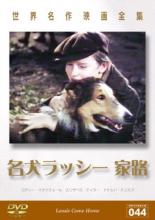 【中古】DVD▼名犬ラッシー 家路 字幕のみ レンタル落ち