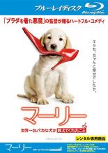 【SALE】【中古】Blu-ray▼マーリー 世界一おバカな犬が教えてくれたこと ブルーレイディスク レンタル落ち