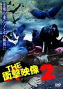 【中古】DVD▼THE 衝撃映像 2