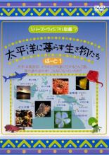 【中古】DVD▼シリーズ・ヴィジアル図鑑 7 太平洋に暮らす生き物たち ぱーと 1 レンタル落ち