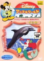 【中古】DVD▼アニマルワールド イルカ レンタル落ち