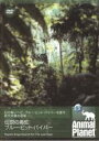 【SALE】【中古】DVD▼アニマル・プラネット 伝説の毒蛇 ブルー・ピット・バイパー 字幕のみ レンタル落ち